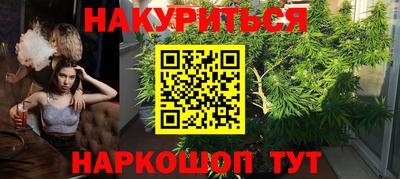 индика Обнинск