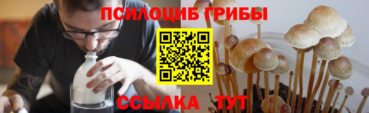 Сегежа  Псилоцибиновые грибы Psilocybe  Вход с VPN  Галлюциногенные грибы Psilocybine cubensis 